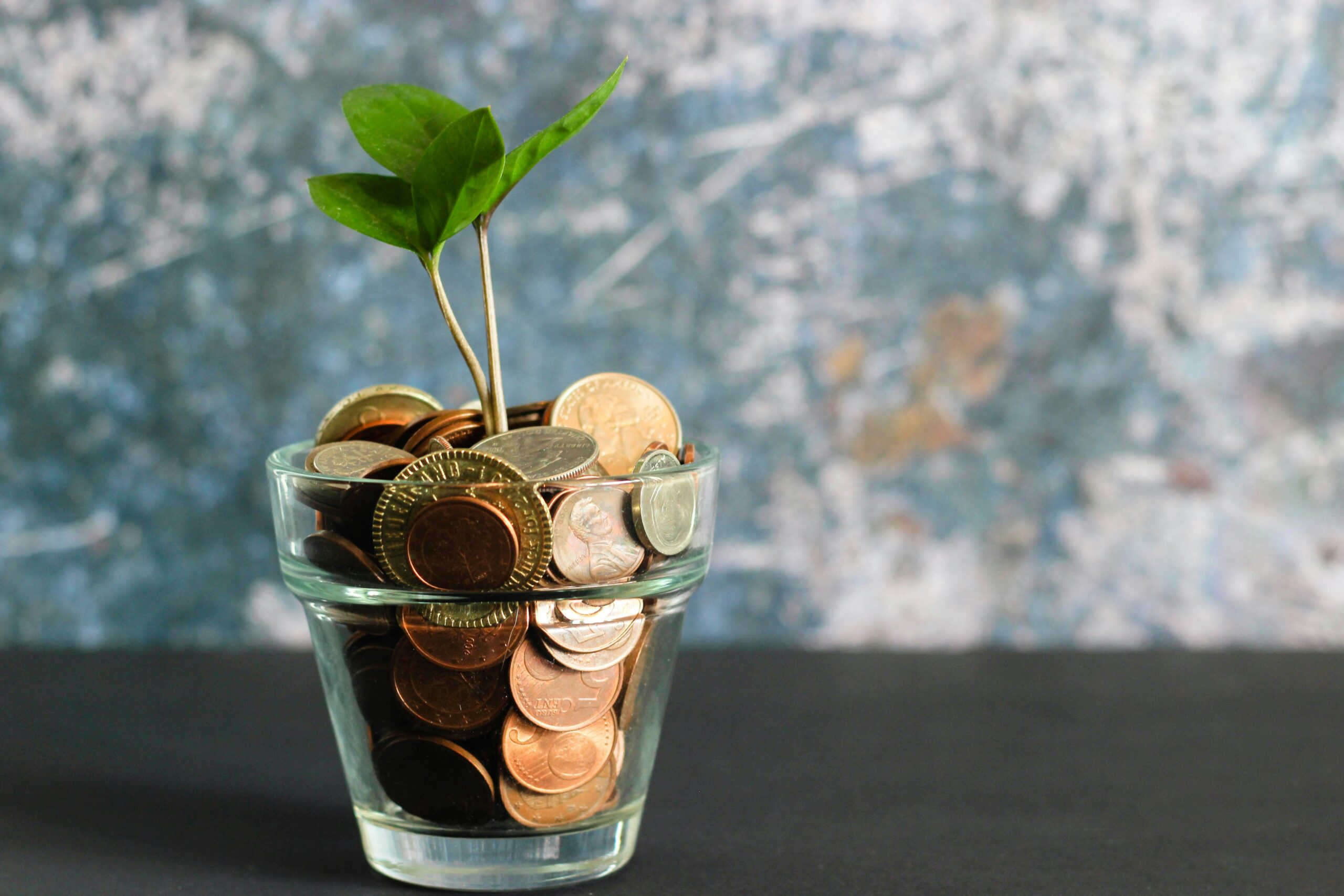 Comment financer sa startup au début (sans investisseurs)